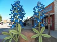 Giant Bluebonnets