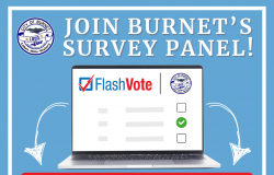 FlashVote